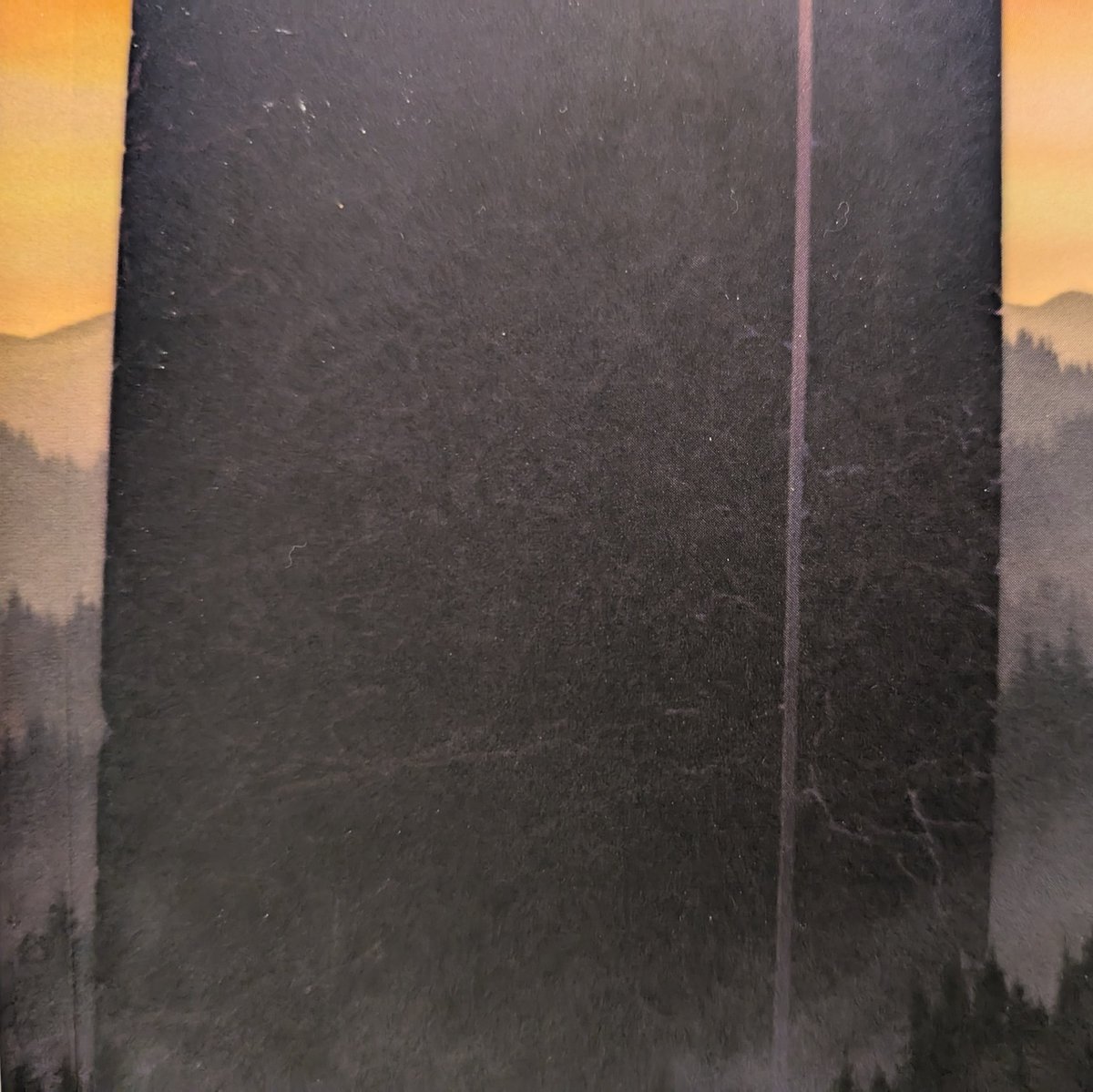 Tweet image